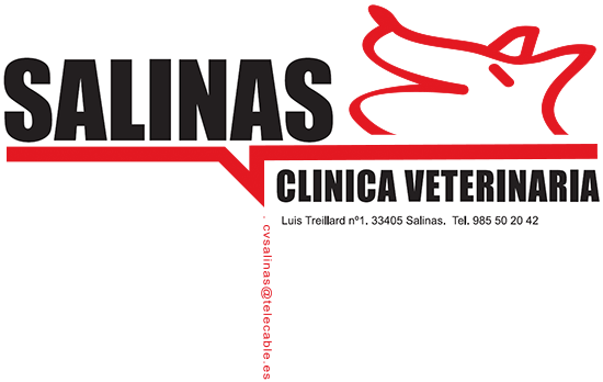 Clinica Veterinaria Salinas